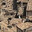 Pesco_038