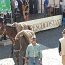 DSC01502
