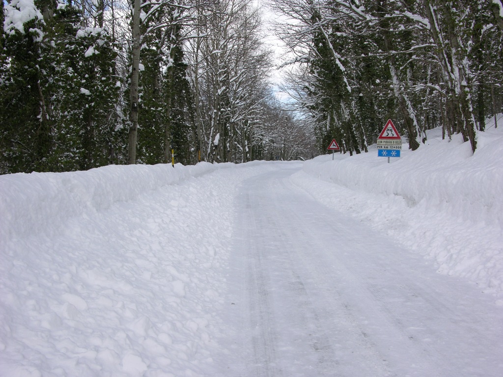 DSCN0284.JPG
