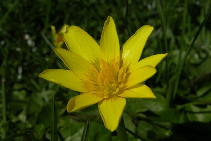 DSCN0298.JPG