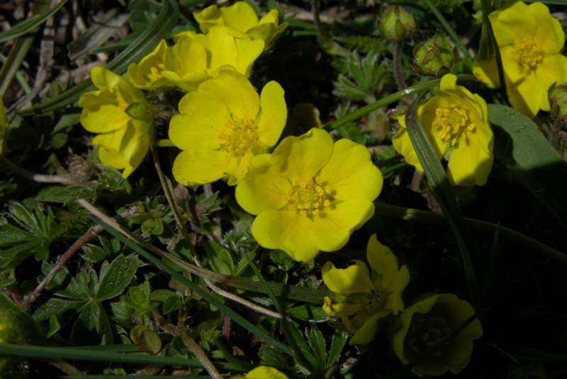 DSCN0300.JPG