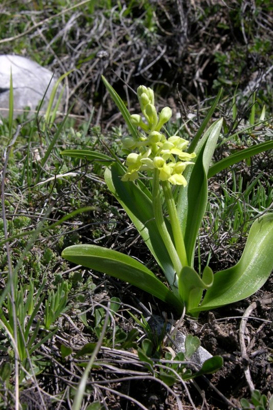 DSCN0339.JPG