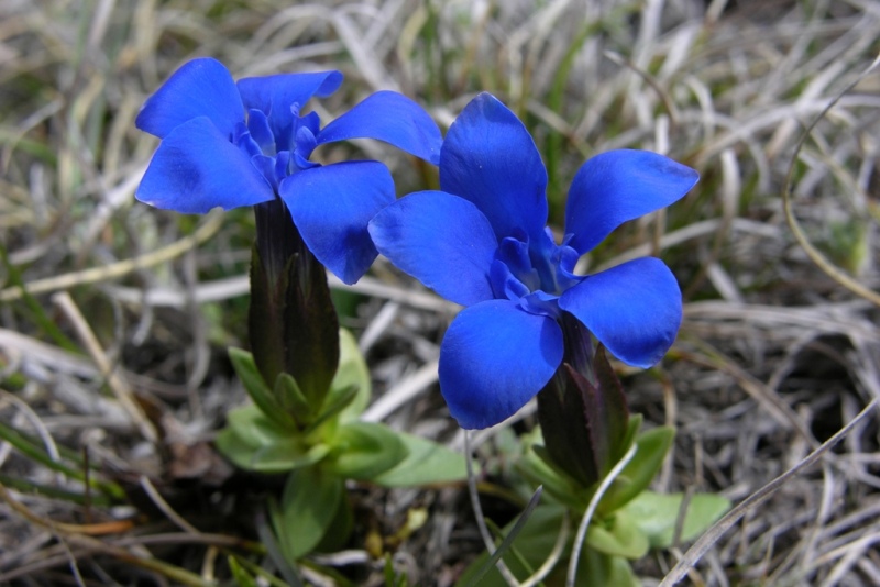 DSCN0345.JPG
