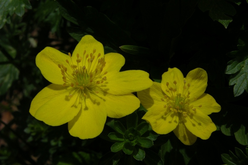 DSCN0359.JPG