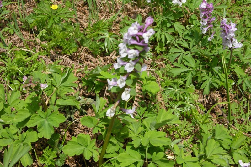 DSCN0361.JPG
