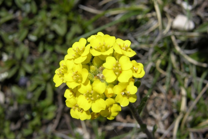 DSCN0376.JPG