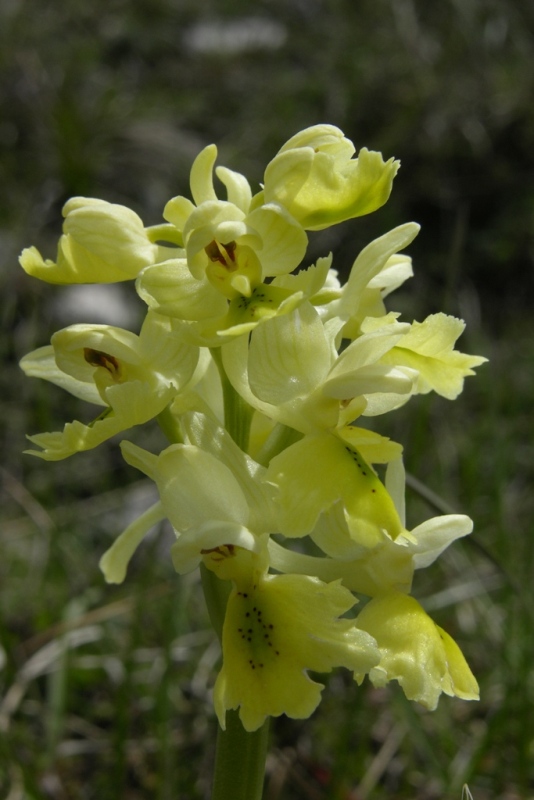 DSCN0379.JPG