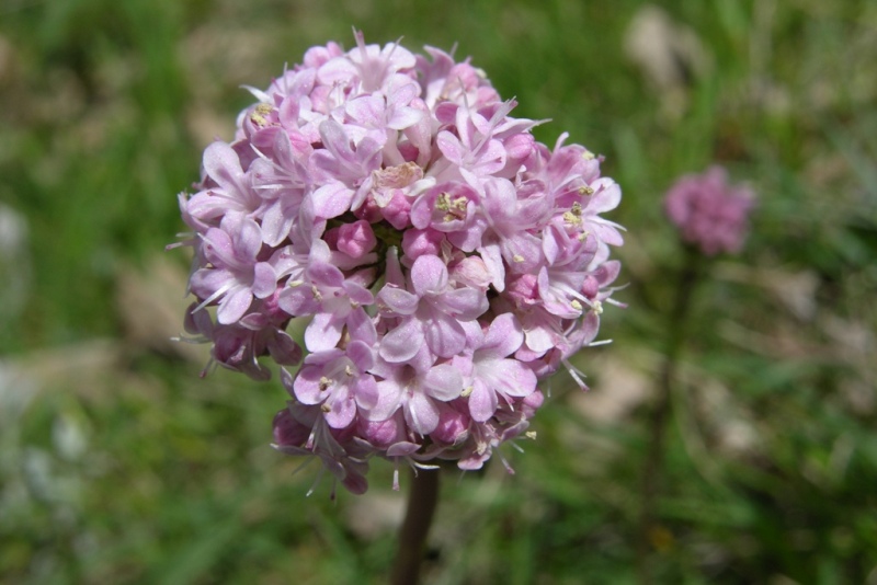 DSCN0387.JPG