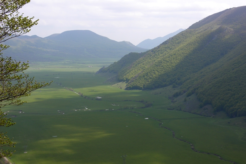 DSCN0421.JPG