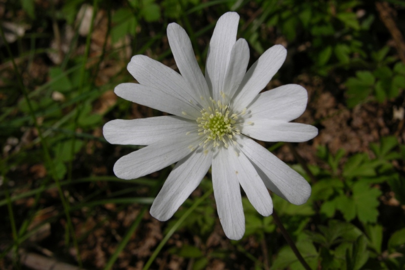 DSCN0422.JPG