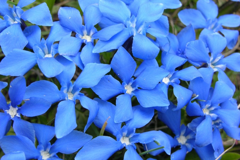 DSCN0432.JPG