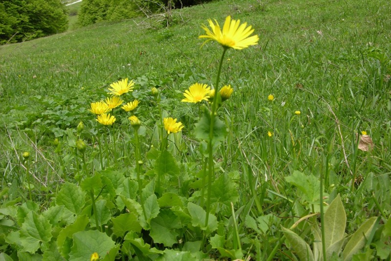 DSCN0485.JPG
