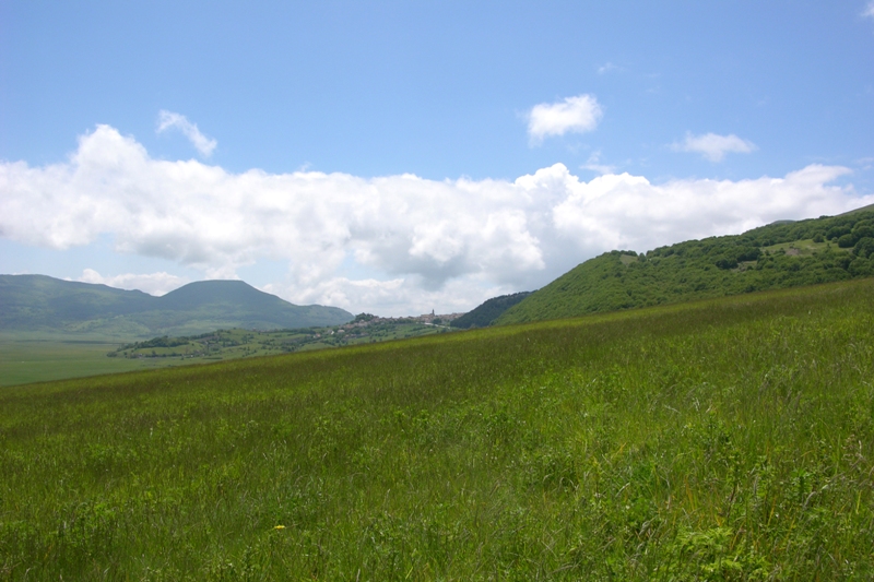 DSCN0513.JPG