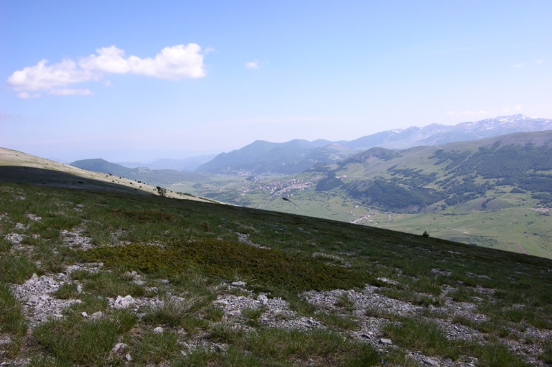 DSCN0526.JPG